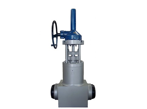 电站高压低压阀