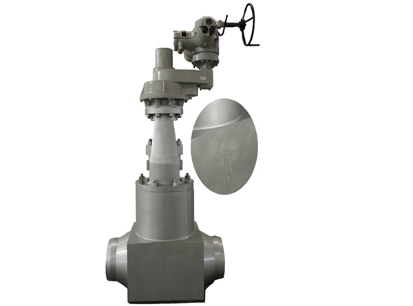 电站特殊工况闸阀