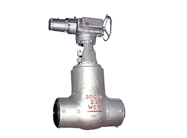 电站特殊工况阀门